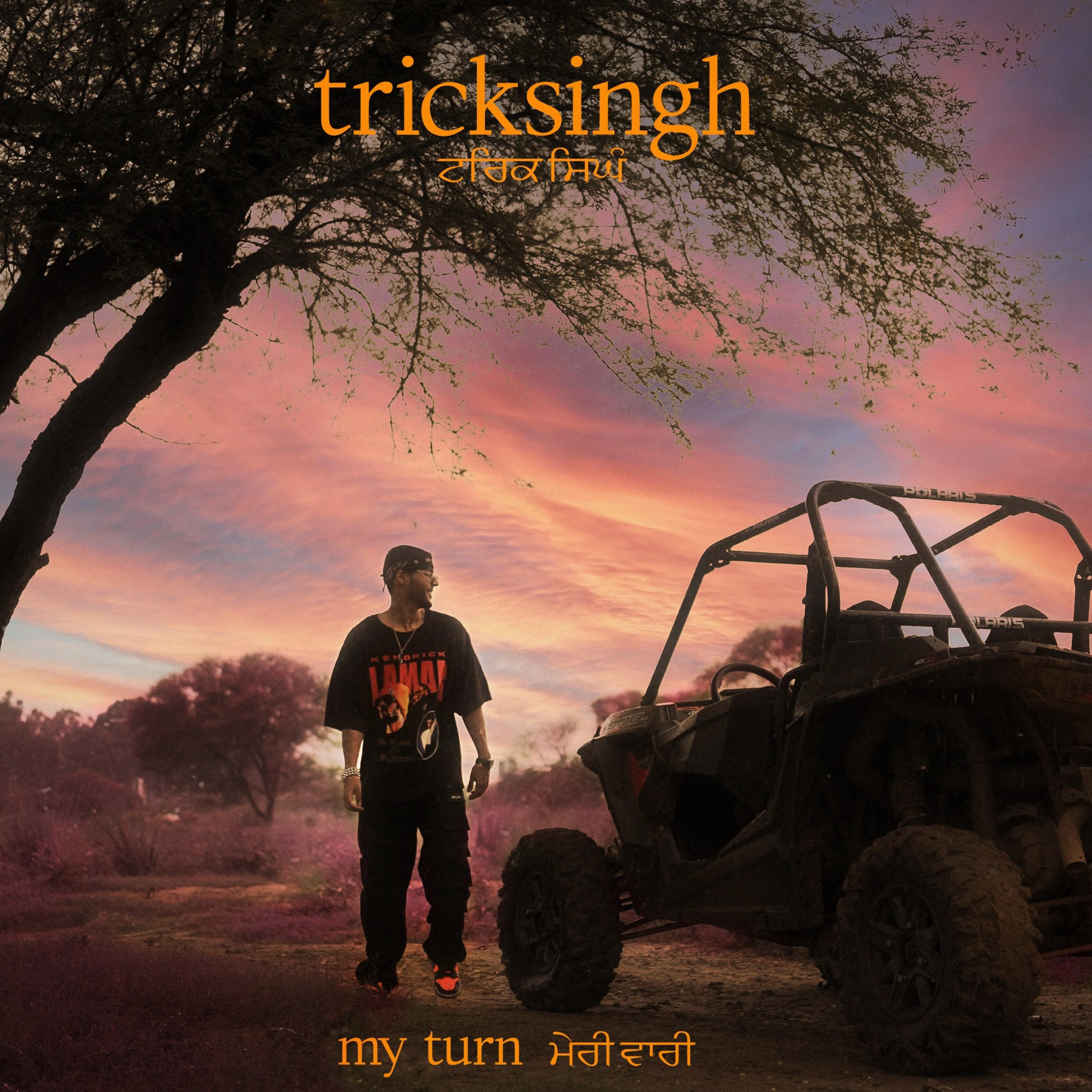 My Turn / Meri Vaari cover art